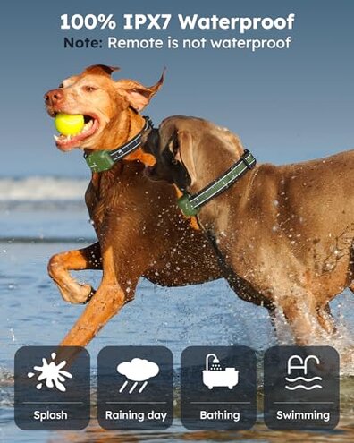 Jugbow Dog Shock Collar 2 Dogs (10-120Lbs) - 4200FT Dog Training Collar with Remote IPX7 Waterproof Electric Collar with 4 Training Modes, Security Lock, Rechargeable e-Collar for All Breeds, Sizes