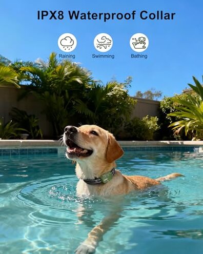 Jugbow Dog Shock Collar - 4500FT Dog Training Collar with Remote, IPX8 Waterproof Electric Dog Collar with 4 Training Modes, Security Lock, Rechargeable eCollar for 10-120lbs Small Medium Large Dogs