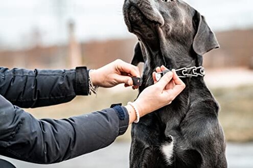 Herm Sprenger Dog Training Prong Collar with Quick Release Cliclock Buckle & Swivel Ring | Adjustable Length German Made Stainless Steel Collar for Small to Medium Dogs Up to 15" Neck (2.25mm Prongs)