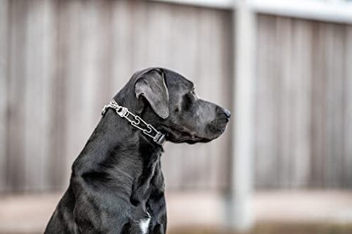 Herm Sprenger Dog Training Prong Collar with Quick Release Cliclock Buckle & Swivel Ring | Adjustable Length German Made Stainless Steel Collar for Small to Medium Dogs Up to 15" Neck (2.25mm Prongs)