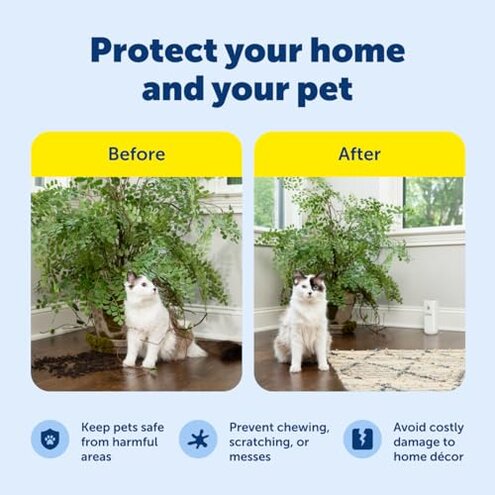 PetSafe SSSCAT Automatic Spray Pet Deterrent - Contactless Behavior Correction - Motion Sensor Air Burst - Odorless - Non-Staining - Versatile Placement Spray