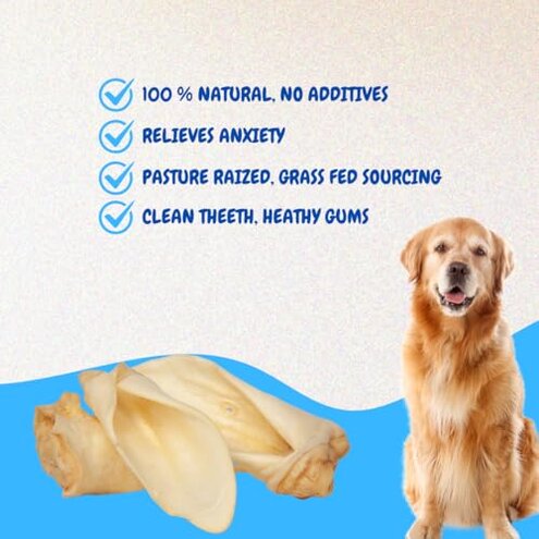 Brazilian Pet 100% Natural - Over 5 inches- Real Cow Ears Prime Dog Chews, Free Range Grass Fed Cattle (100 Count)