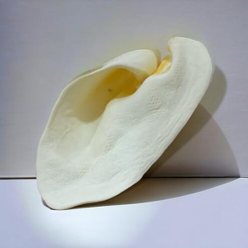 Brazilian Pet 100% Natural - Over 5 inches- Real Cow Ears Prime Dog Chews, Free Range Grass Fed Cattle (100 Count)