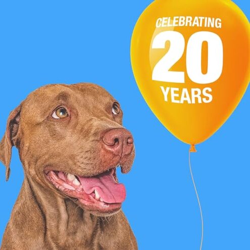 ValueBull Lamb Ears Dog Chews, Varied Shapes, Sizes & Colors, 240 ct Bulk Pack - All Natural Dog Treats, Single Ingredient