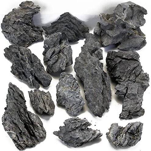 KINGRUI Seiryu Rock Breakage & pH Issues Review Warning