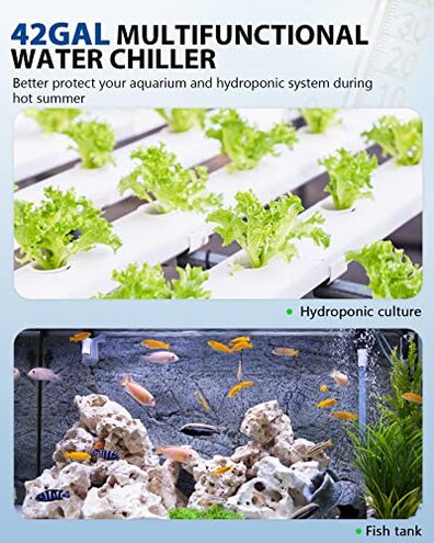 BAOSHISHAN Aquarium Chiller 42gal 1/10 HP Water Chiller for Hydroponics System with Compressor Refrigeration Special Quiet Design for Fish Tank Axolotl Coral Reef Tank 160L