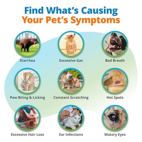 5Strands Pet Food Intolerance & Environmental Sensitivity Test, at Home Gut Health Test for Dogs & Cats, 857 Items Tested, Pet Health Check, Results in 4 Days, for All Ages and Breeds