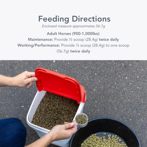 Magnesium 5000 (10lb) Calming/Metabolism/Muscle Function Support for Horses.