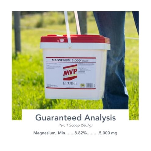 Magnesium 5000 (20lb) Calming/Metabolism/Muscle Function Support for Horses