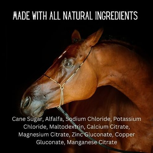 Gallagher's Water 12 Pack All-Natural Equine Hydration Treat - Enhancement Powder Mix Horse Drink Treat to Help Encourage to Drink Water - Made with All Natural Ingredients, FEI Compliant