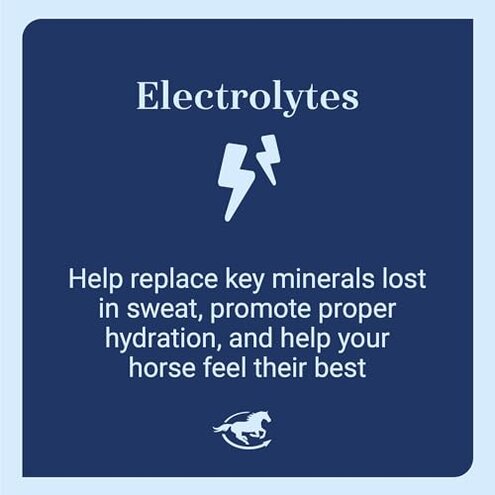 SmartEquine SmartLytes Horse Electrolyte Powder Supplement | Encourages Hydration, Replenishes Electrolytes | No Added Sugar | Cherry Flavor | 56 Servings | 3.7 lb Bucket