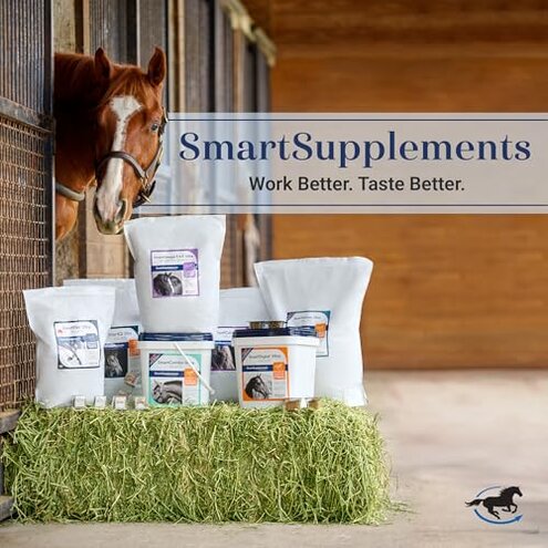 SmartEquine SmartLytes Horse Electrolyte Powder Supplement | Encourages Hydration, Replenishes Electrolytes | No Added Sugar | Cherry Flavor | 56 Servings | 3.7 lb Bucket