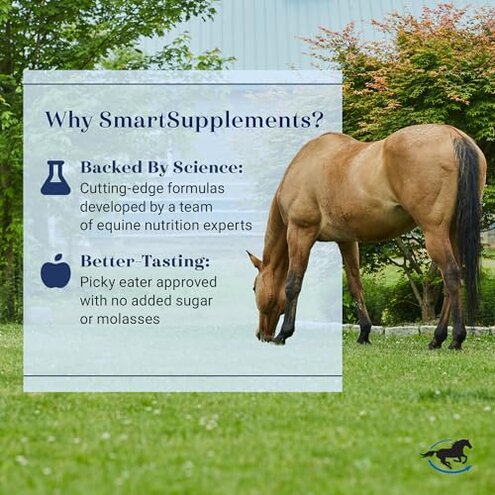 SmartEquine SmartLytes Horse Electrolyte Powder Supplement | Encourages Hydration, Replenishes Electrolytes | No Added Sugar | Cherry Flavor | 56 Servings | 3.7 lb Bucket