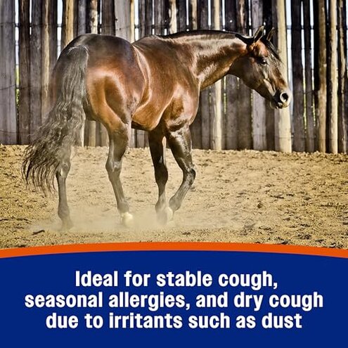 Farnam Cough Free Pellets Respiratory Health Supplement for Horses, Provides Respiratory Support for Horses with Seasonal Allergies or Stable Cough, 2.5 lb., 70 Day Supply