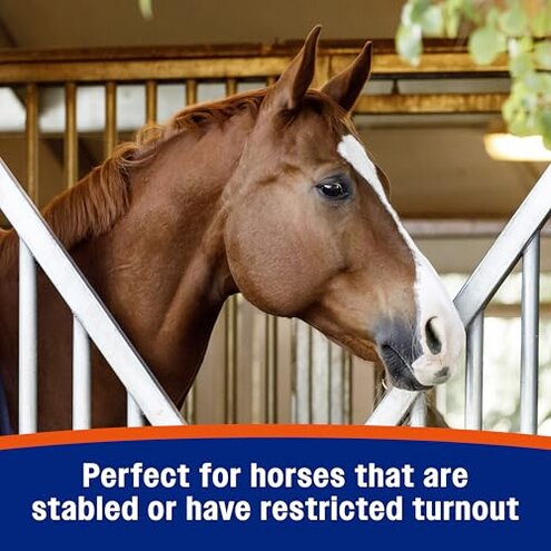 Farnam Cough Free Pellets Respiratory Health Supplement for Horses, Provides Respiratory Support for Horses with Seasonal Allergies or Stable Cough, 2.5 lb., 70 Day Supply