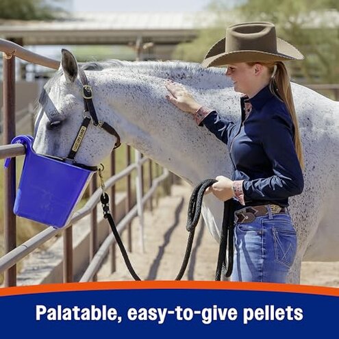 Farnam Cough Free Pellets Respiratory Health Supplement for Horses, Provides Respiratory Support for Horses with Seasonal Allergies or Stable Cough, 2.5 lb., 70 Day Supply