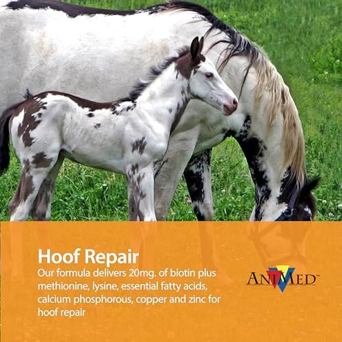 AniMed Remission 4 lb&hellip;