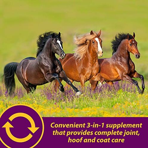 Horse Health Joint Combo Hoof & Coat, Glucosamin, Chrondroitin, Vitamin C, MSM, Biotin, Lysine, ZInc, Omega 3 and 6 Fatty Acids, 64 day supply