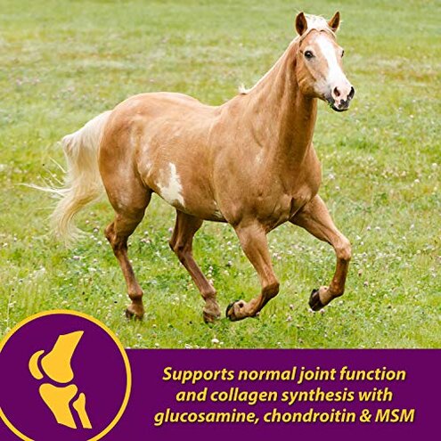 Horse Health Joint Combo Hoof & Coat, Glucosamin, Chrondroitin, Vitamin C, MSM, Biotin, Lysine, ZInc, Omega 3 and 6 Fatty Acids, 64 day supply