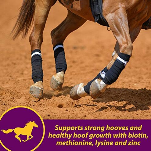 Horse Health Joint Combo Hoof & Coat, Glucosamin, Chrondroitin, Vitamin C, MSM, Biotin, Lysine, ZInc, Omega 3 and 6 Fatty Acids, 64 day supply