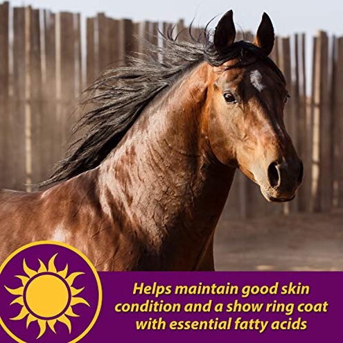 Horse Health Joint Combo Hoof & Coat, Glucosamin, Chrondroitin, Vitamin C, MSM, Biotin, Lysine, ZInc, Omega 3 and 6 Fatty Acids, 64 day supply