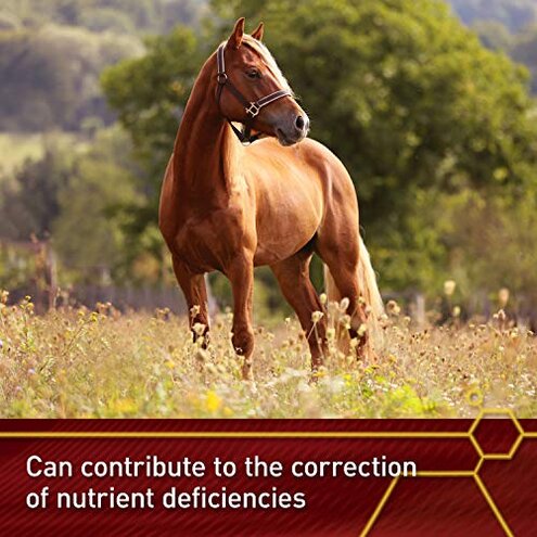 Vita Flex Pro E and Horse Selenium Supplement, Balanced Essential Antioxidants, 4 Pound, 64-Day Supply