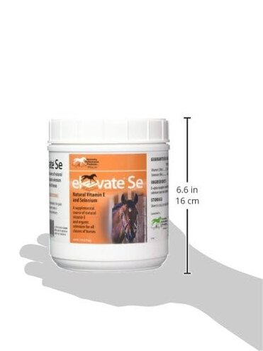 Kentucky Performance Prod Elevate Se Natural Vitamin E and Selenium Powder for Horses, 2 Pound Container