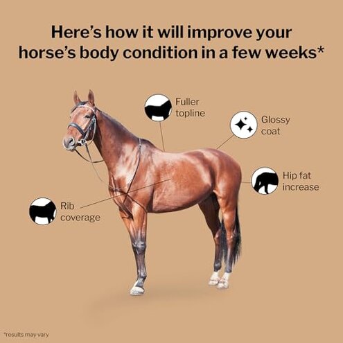 Formula 707 Weight Gain Crumble Equine Supplement, 7 lb Bag &ndash; Palatable, Calorie-Rich Nutritional Support for Hard-to-Keep and Senior Horses