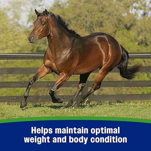 Farnam Weight Builder Weight Support Supplement for Horses, Helps Maintain Optimal Body Condition, 7.5 lb, 30 Day Supply