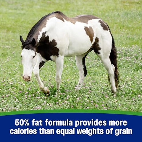 Farnam Weight Builder Weight Support Supplement for Horses, Helps Maintain Optimal Body Condition, 7.5 lb, 30 Day Supply