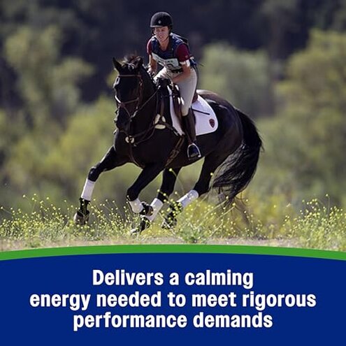 Farnam Weight Builder Weight Support Supplement for Horses, Helps Maintain Optimal Body Condition, 7.5 lb, 30 Day Supply