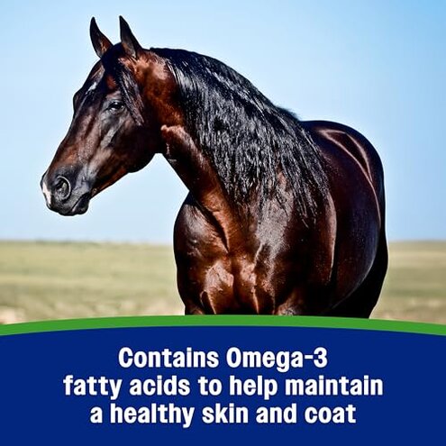 Farnam Weight Builder Weight Support Supplement for Horses, Helps Maintain Optimal Body Condition, 7.5 lb, 30 Day Supply