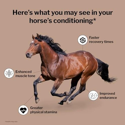 Formula 707 MuscleMx Equine Supplement, 3lb Bag – Conditioning Support and Muscle Builder for Horses with Lysine, Gamma Oryzanol, Creatine & OKG