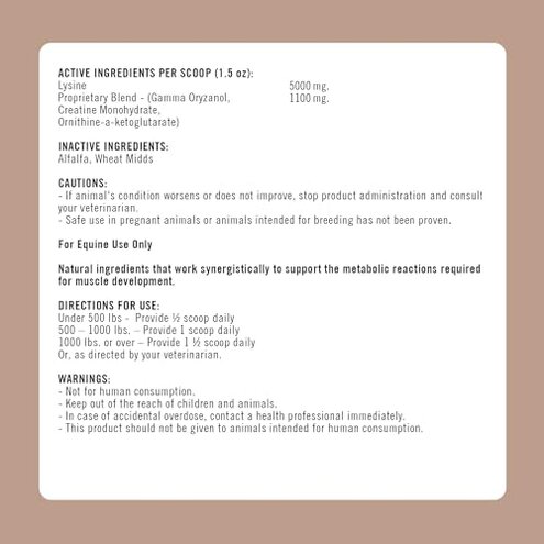 Formula 707 MuscleMx Equine Supplement, 3lb Bag – Conditioning Support and Muscle Builder for Horses with Lysine, Gamma Oryzanol, Creatine & OKG