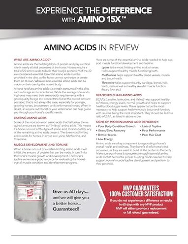 MVP Amino 15X (1.5lb) Supports Healthy Muscle Function, Development and Recovery in Horses.
