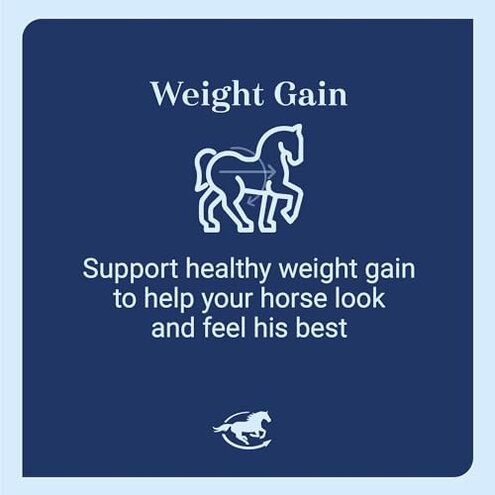 SmartEquine Smart & Simple 99% Fat | Horse Weight Gain Supplement Supports Ideal Body Condition in Horses | Easy to Use & Tasty High Fat Supplement Powder | 112 Servings | 14 lb Bag