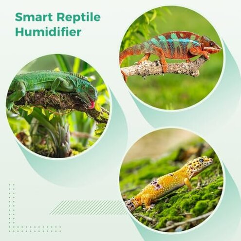 Reptile Tank Humidifier With Smart Spray System, Led Touch Control & Timer
