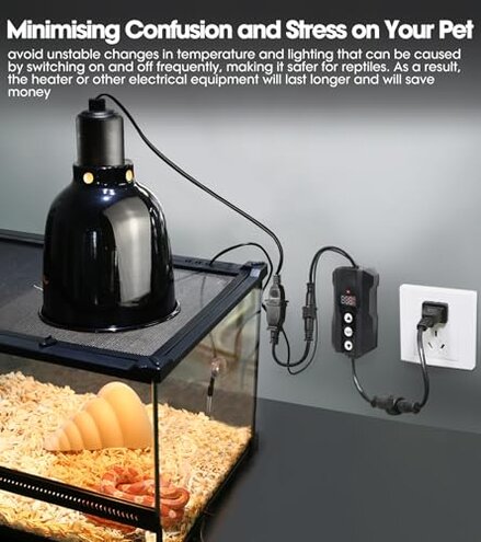 Reptile Dimming Thermostat Reptile Terrarium Thermometer Hygrometer