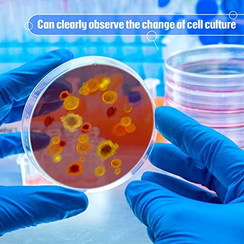 Thermal Instability in 200-Pack Plastic Petri Dishes: A Technical Analysis
