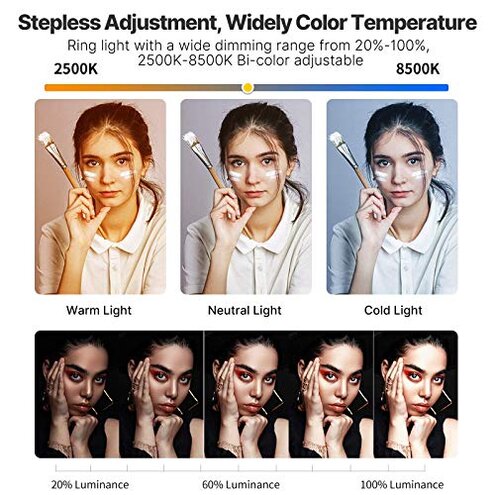 Smartphone Video Rig PICTRON U200 Handheld LED Ring Light Selfie Light Phone Video Stabilizer for Camera, Smartphone, Action Camera, YouTube, Setup, Filmmaking, Makeup, Vlogging